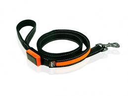 B-Green & B-Seen Leash