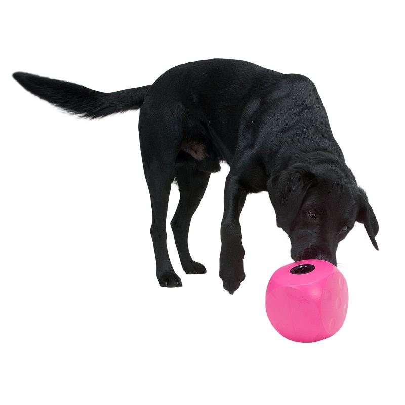 BUSTER Food Cube - Aktivitets kub för din hund i flera färger