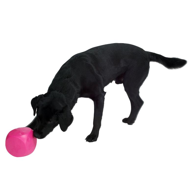 BUSTER Food Cube - Aktivitets kub för din hund i flera färger