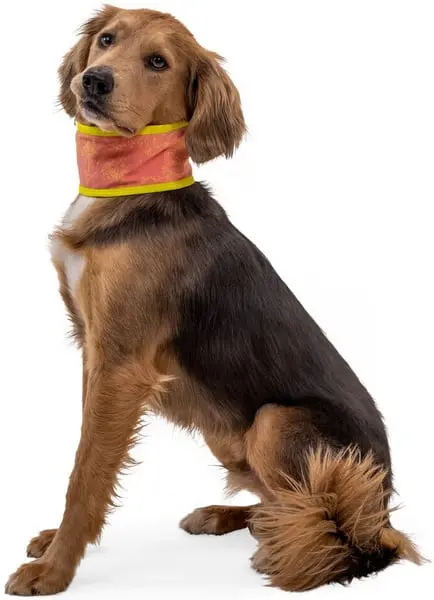 Cooling Neck Gaiter Swamp Cooler Salmon Pink/Blue Mist