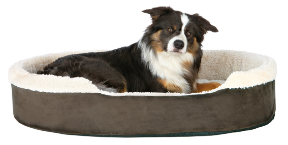 Cosma hundbädd , Brun/Begie i fler olika storlekar