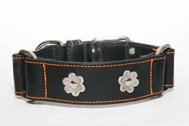 Dog Artist Flower Collar