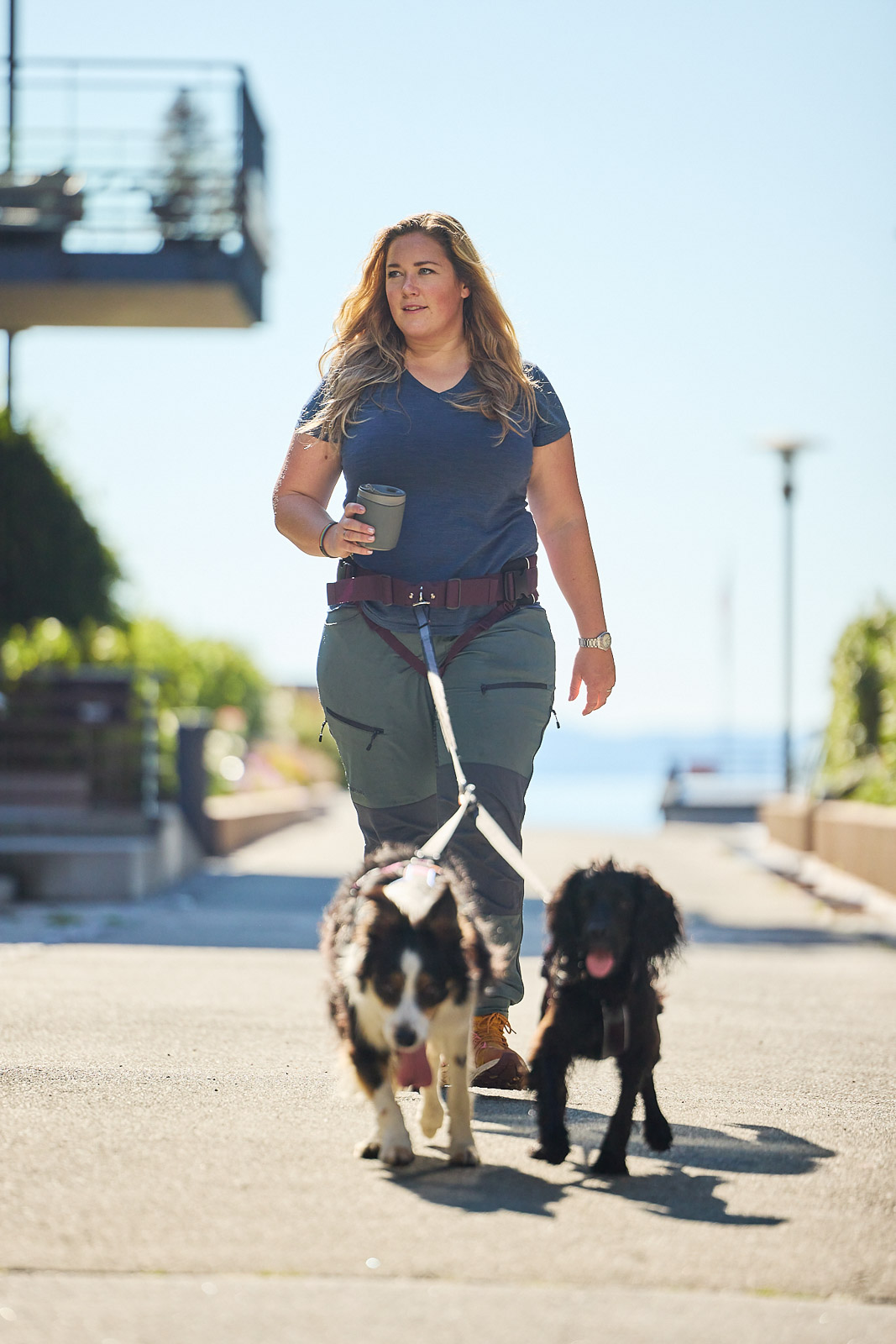 Handsfree-bälte för hundpromenaden – Trekking belt 2.0