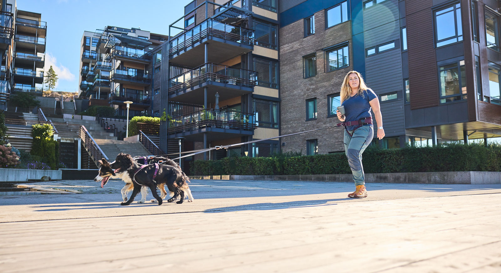 Handsfree-bälte för hundpromenaden – Trekking belt 2.0