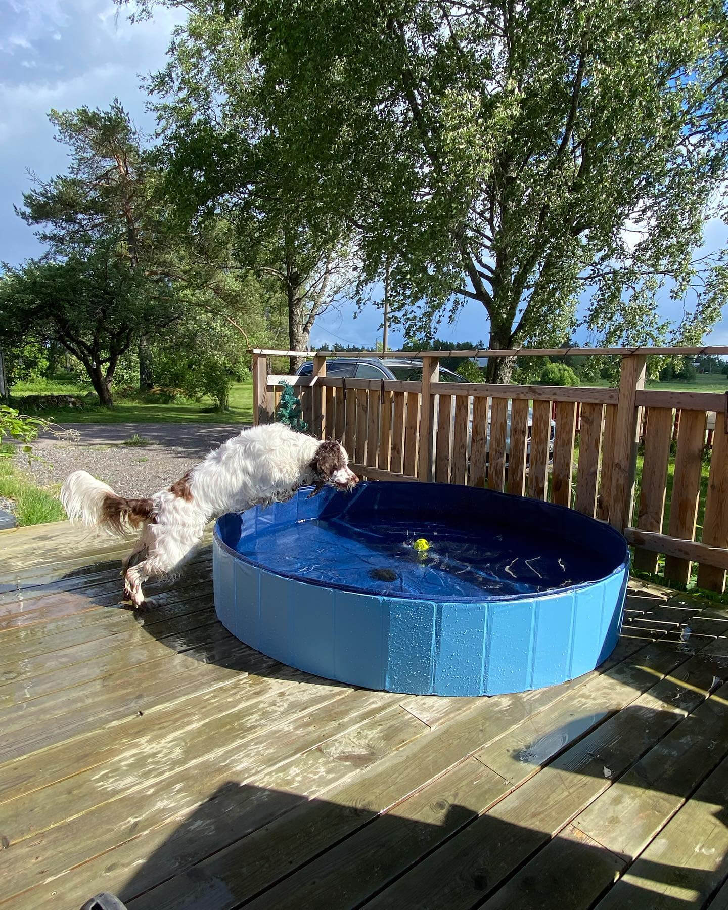 Hund pool i tre storlekar