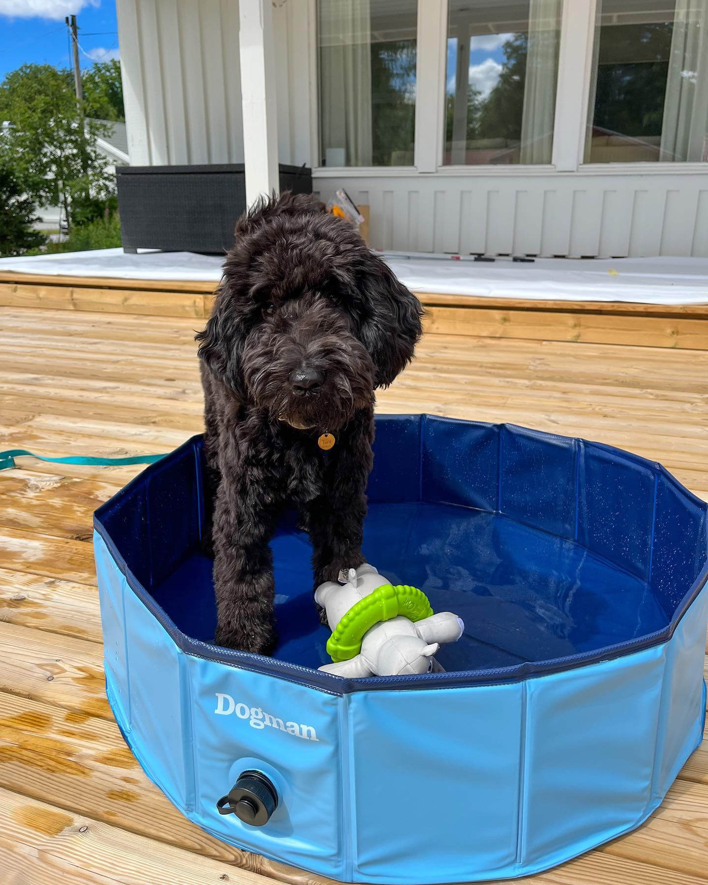 Hund pool i tre storlekar