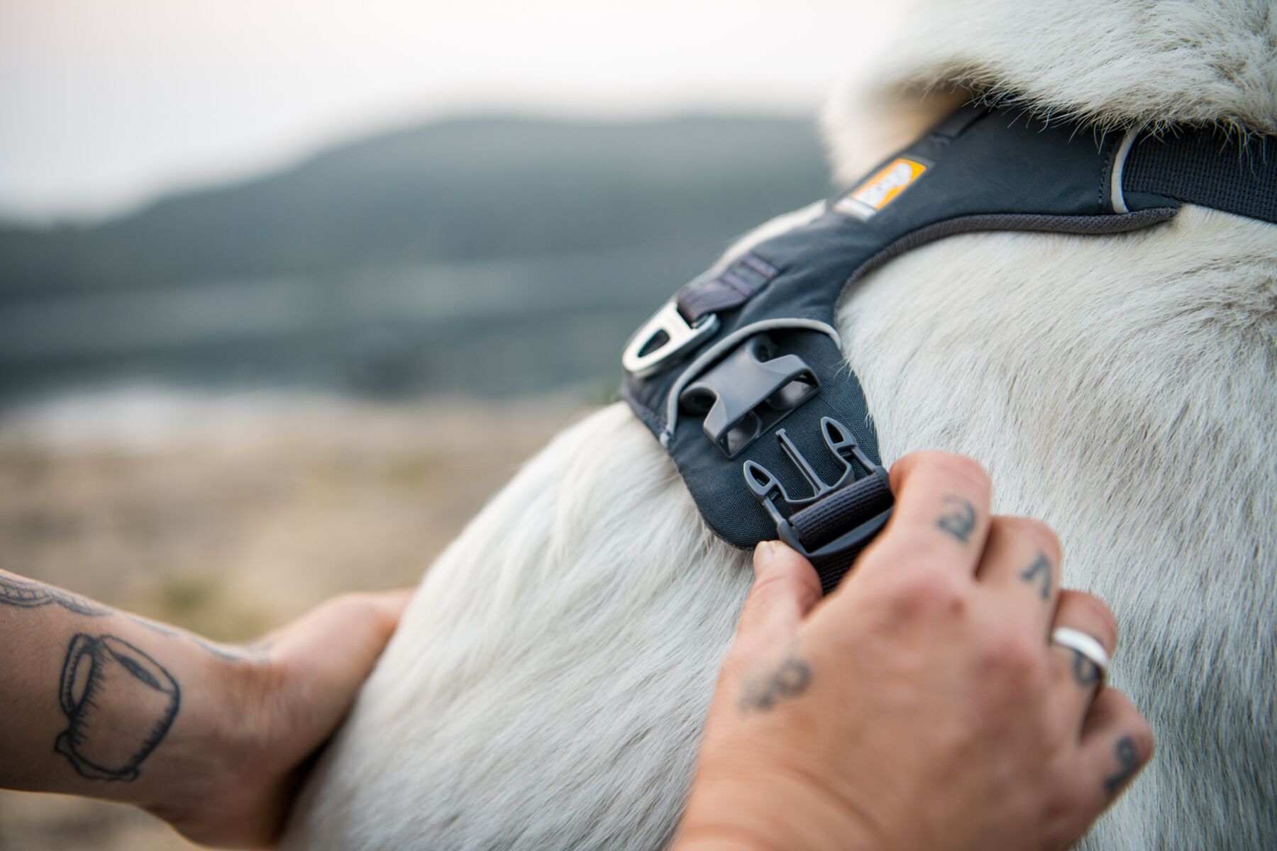 Hundsele, Front Range Harness