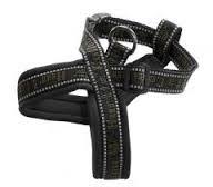 Hurtta Vadderad Y-Sele Svart