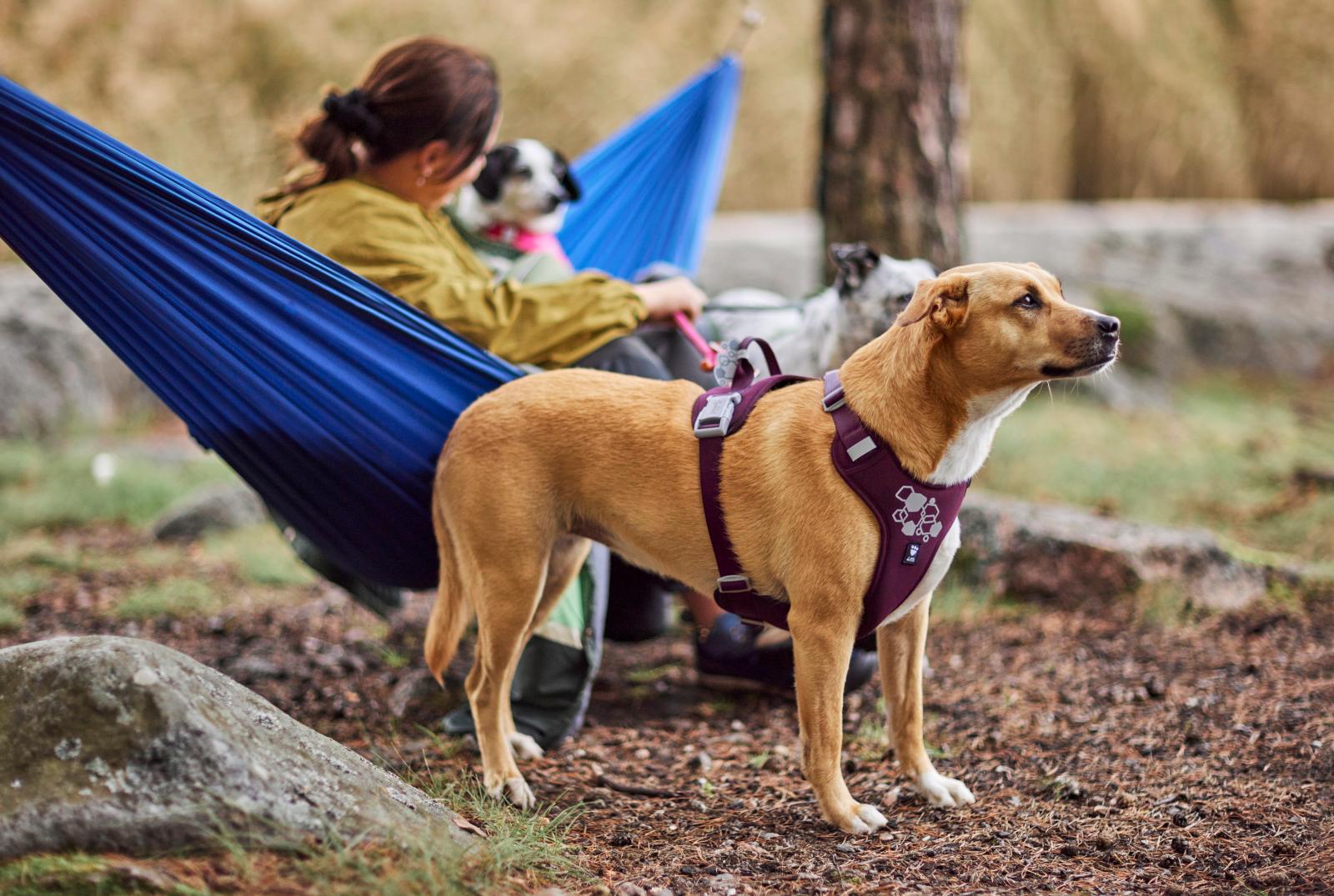 Hurtta Weekend Warrior Sele II ECO – Maximal komfort & kontroll