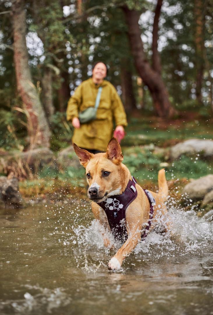 Hurtta Weekend Warrior Sele II ECO – Maximal komfort & kontroll