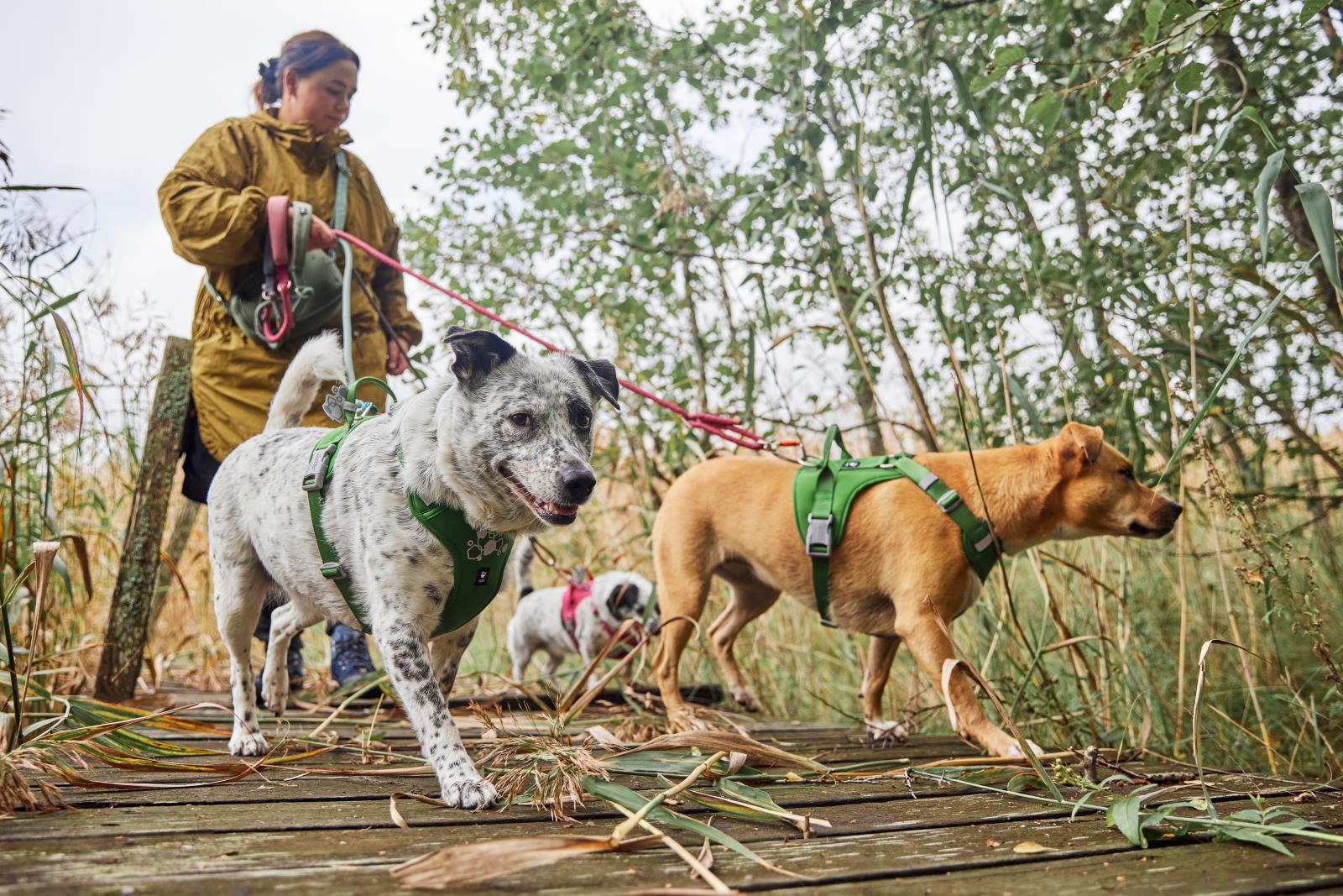 Hurtta Weekend Warrior Sele II ECO – Maximal komfort & kontroll