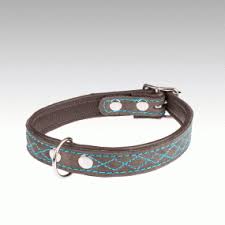 Jokke Antti Grå/Turkos Hundhalsband stl 40-50cm