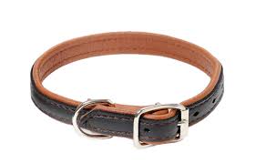 Jokke King Svart Halsband