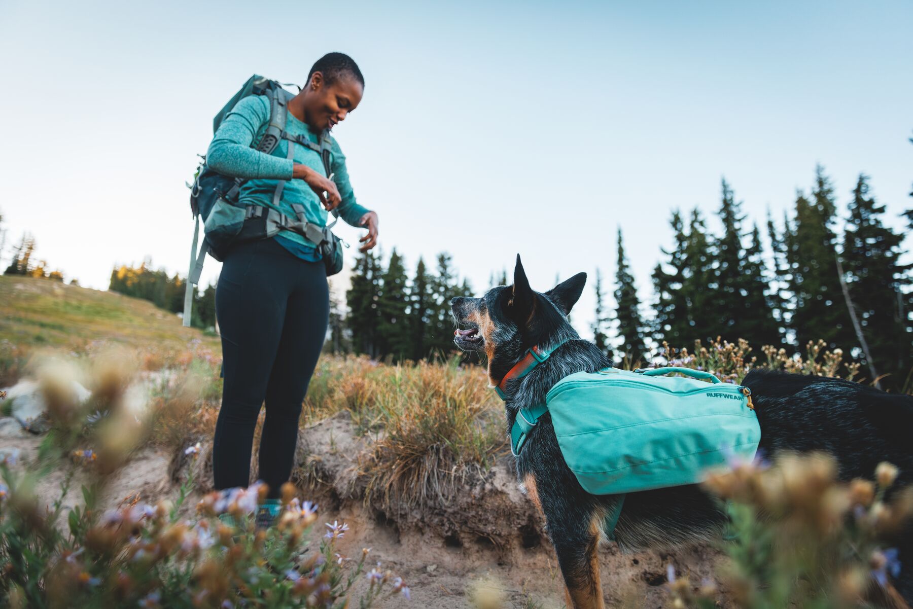 Klövjeväska, Ruffwear Front Range Day Pack, Basalt Gray