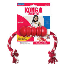 Kong Dental
