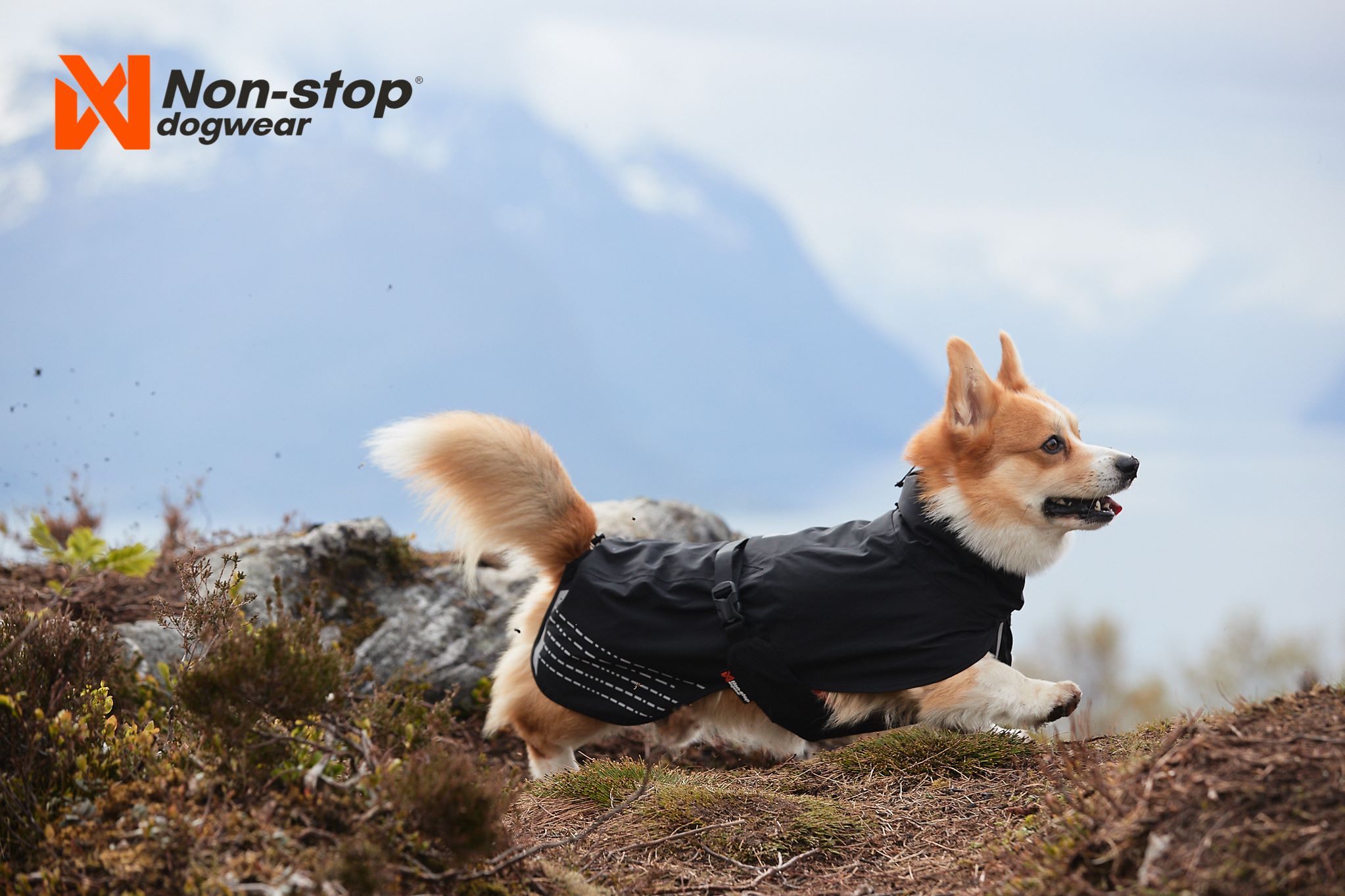 Non-Stop Dogwear, Fjord raincoat, Regntäcke