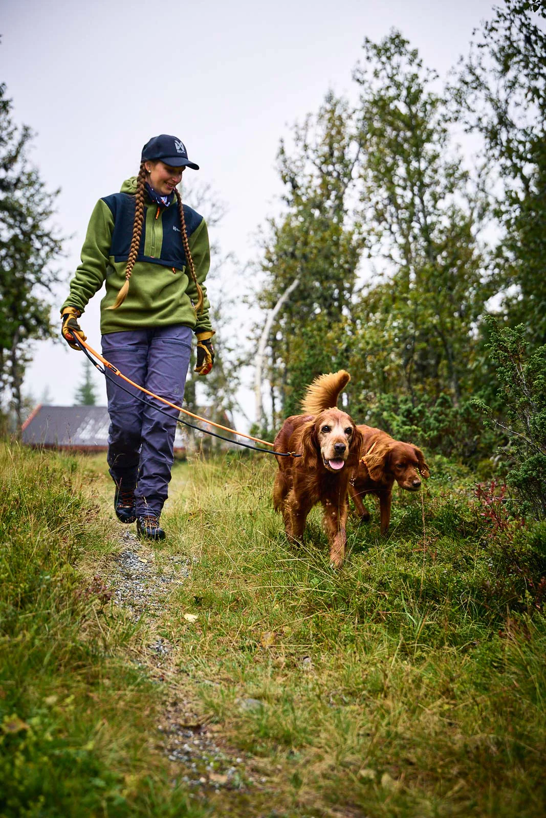 Retrieverkoppel för jakt och träning – Non-stop Dogwear Retriever Leash