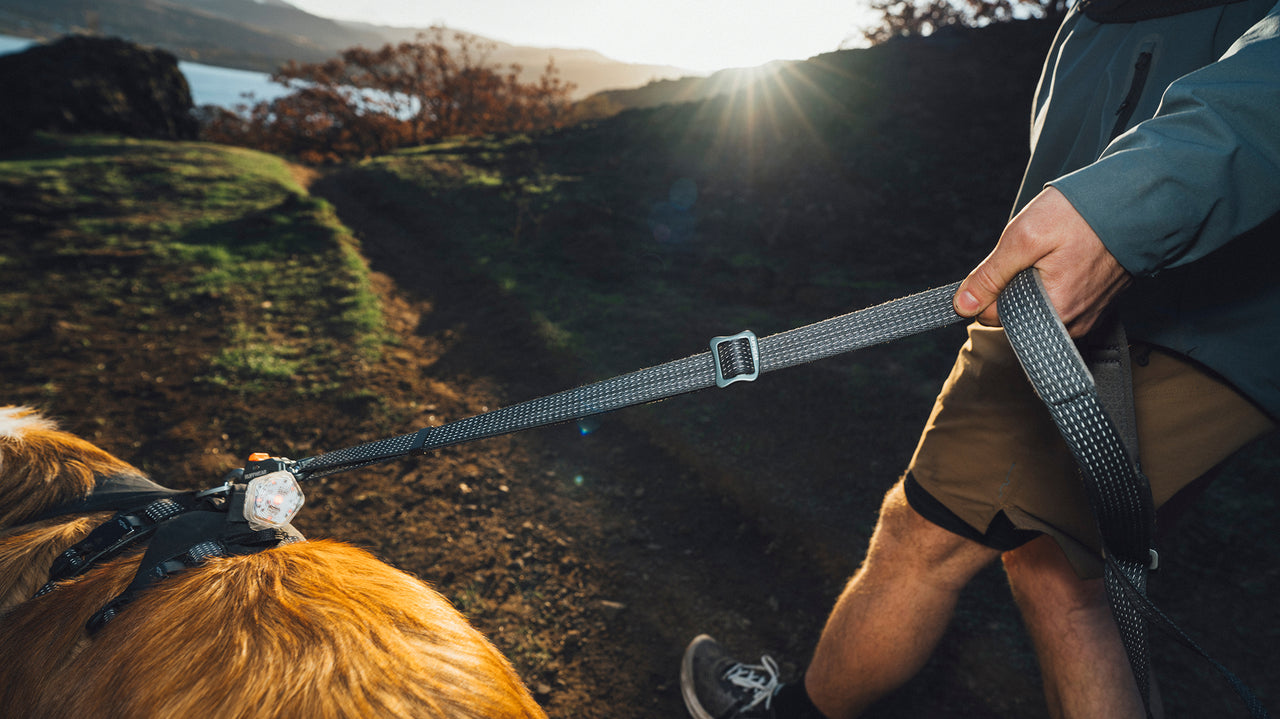 Ridgeline™ Leash - För dig med de högsta kraven