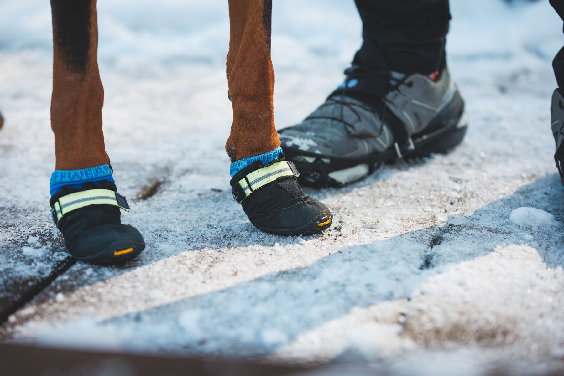 Ruffwear Bark'n Boot Liners - Hundstrumpor