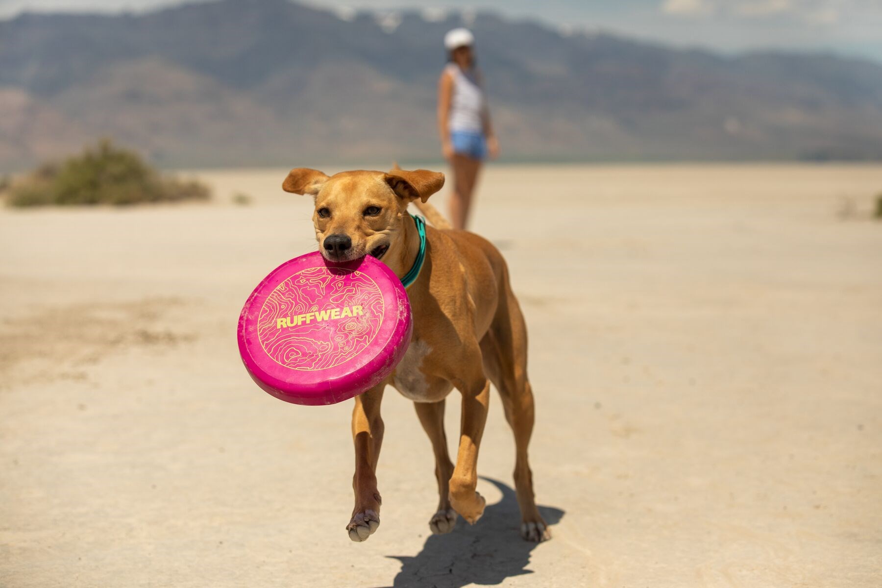 Ruffwear Camp Flyer™ Toy - mjuk frisbee i flera färger