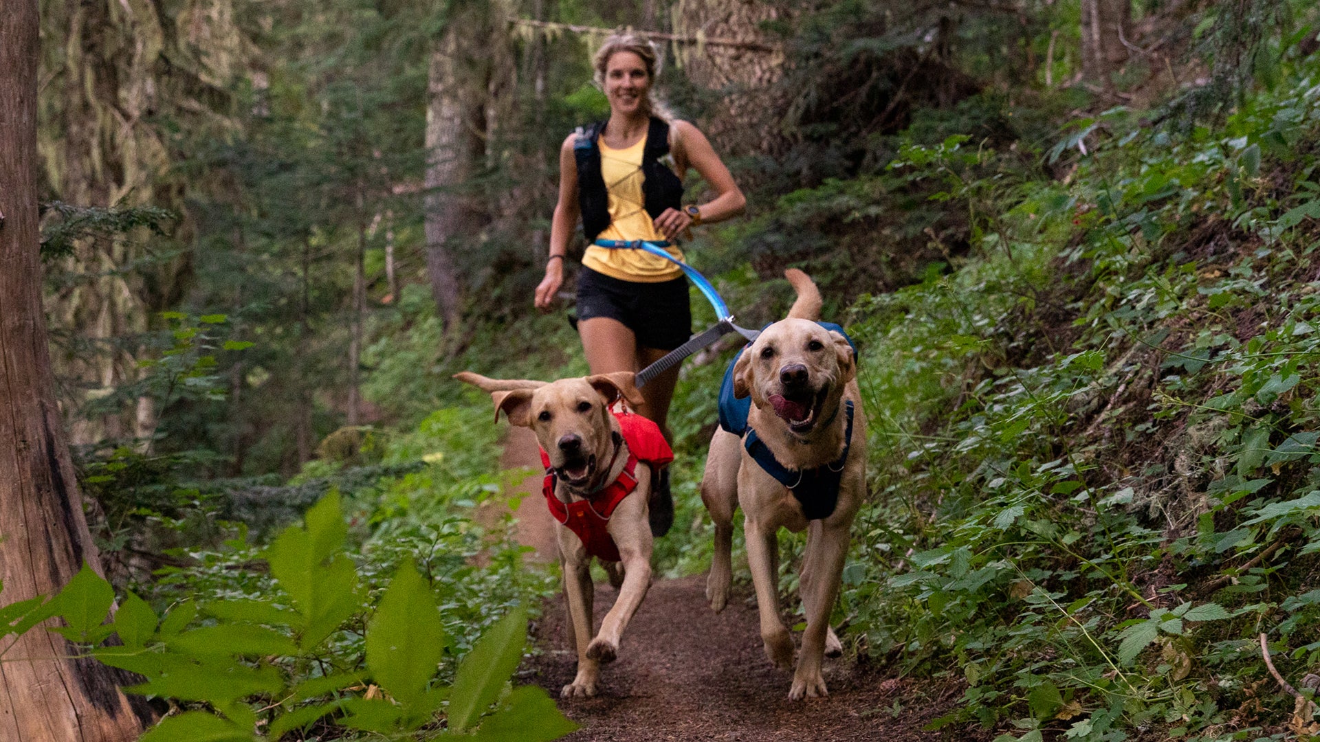 Ruffwear Double Track™ Coupler – Premium splitterkoppel med stretch för två hundar