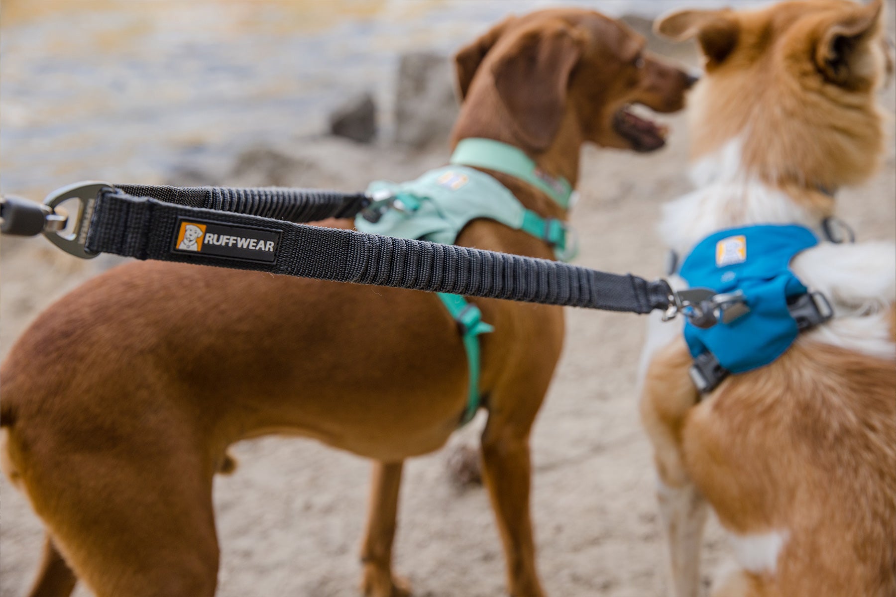 Ruffwear Double Track™ Coupler – Premium splitterkoppel med stretch för två hundar