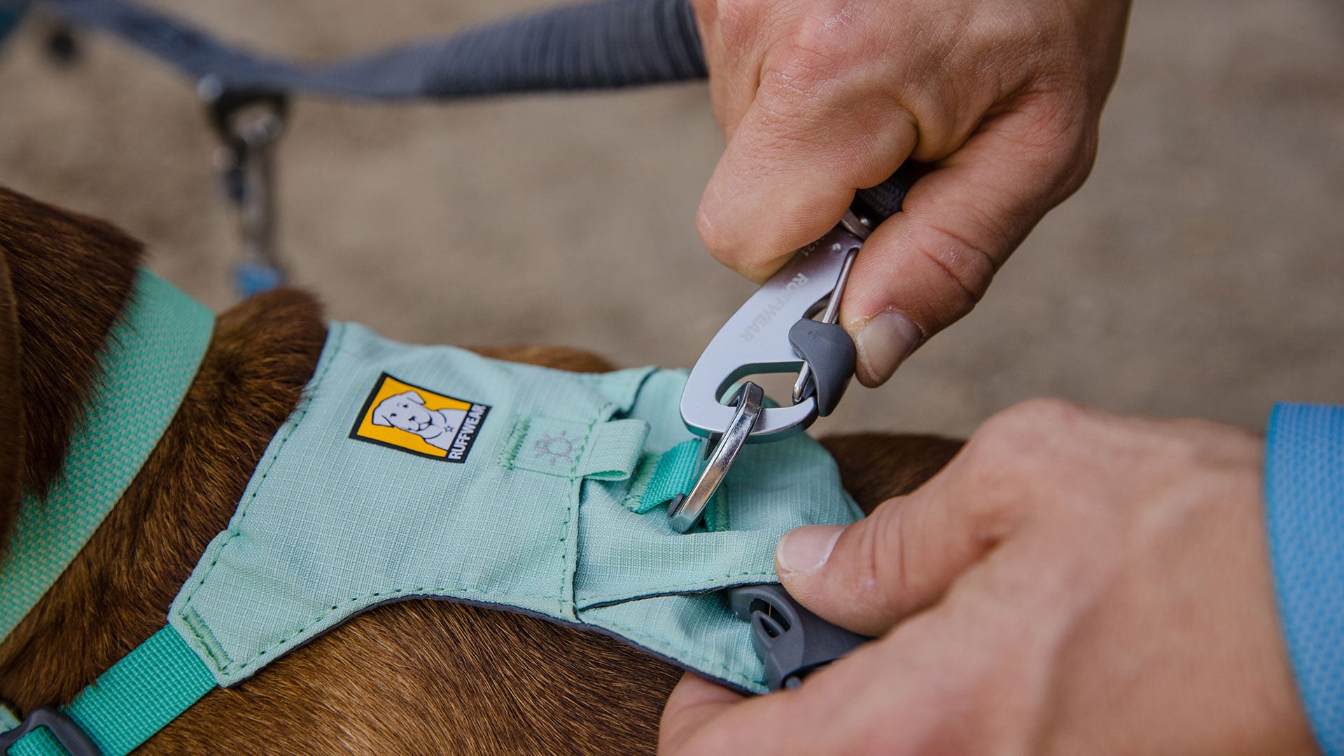Ruffwear Double Track™ Coupler – Premium splitterkoppel med stretch för två hundar