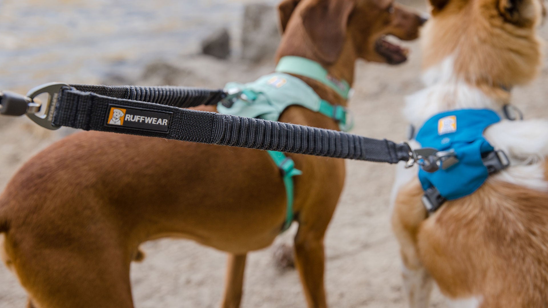 Ruffwear Double Track™ Coupler – Premium splitterkoppel med stretch för två hundar