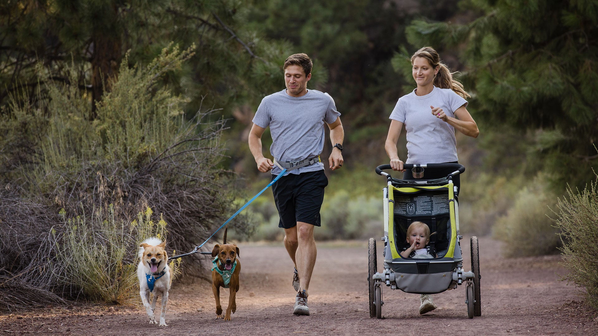 Ruffwear Double Track™ Coupler – Premium splitterkoppel med stretch för två hundar