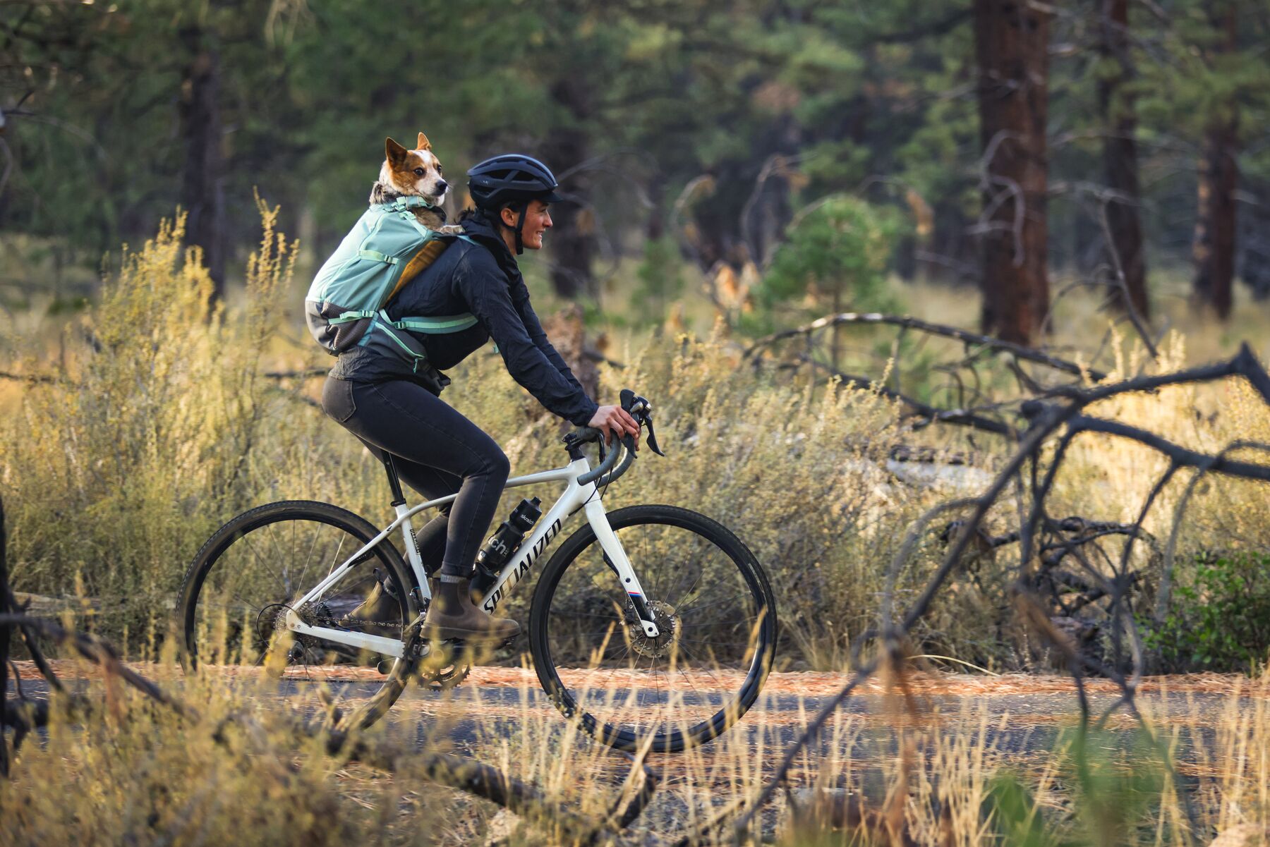 Ruffwear Hitch Hiker™ Hundbärryggsäck