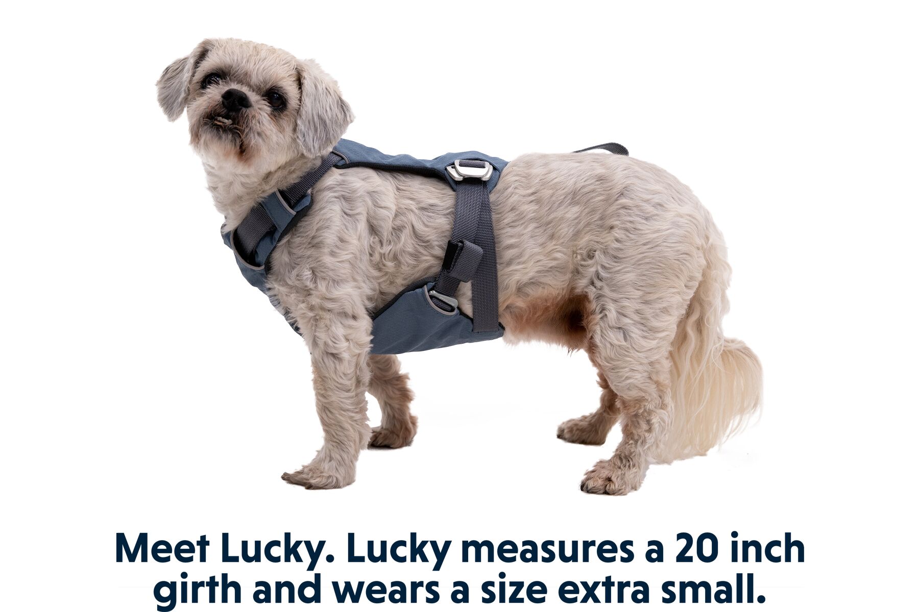 Ruffwear Load Up Harness Bilsele