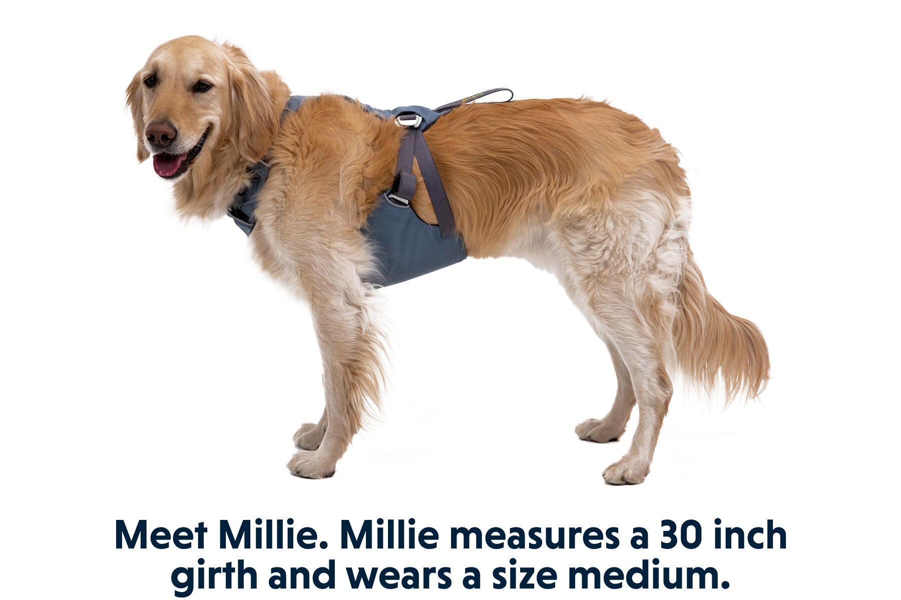 Ruffwear Load Up Harness Bilsele