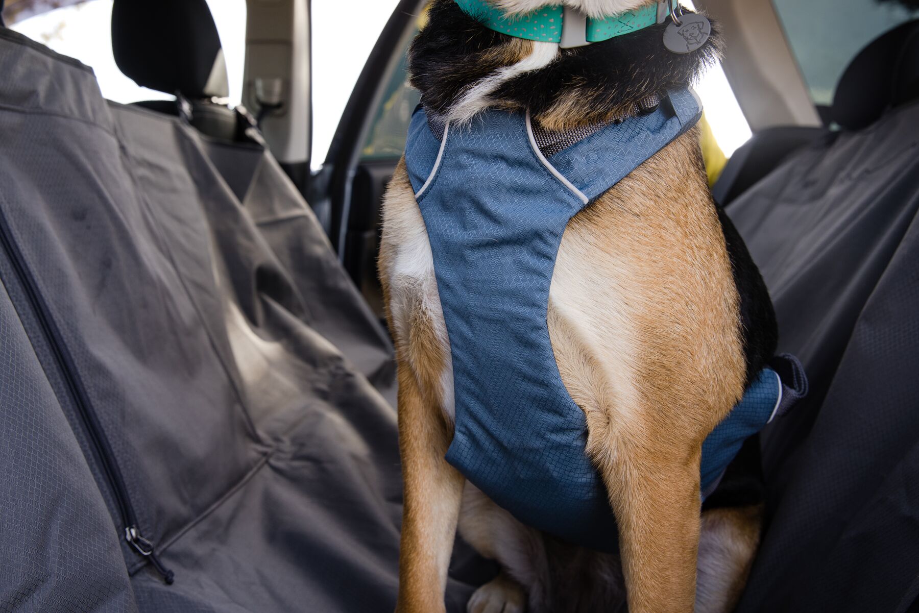 Ruffwear Load Up Harness Bilsele