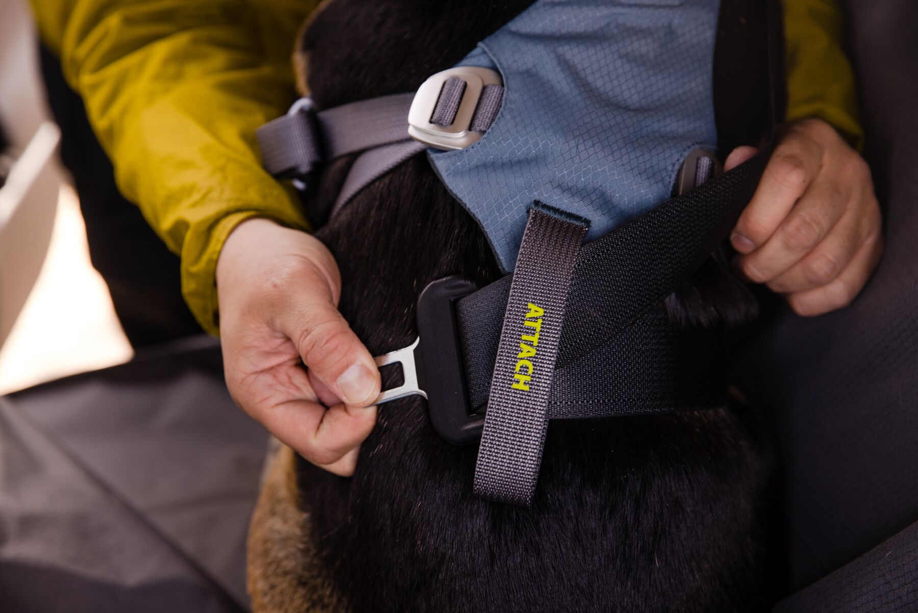 Ruffwear Load Up Harness Bilsele