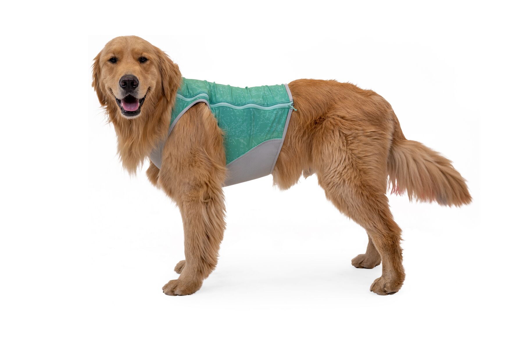 Ruffwear Swamp Cooler Zip™ Vest, Aurora Teal