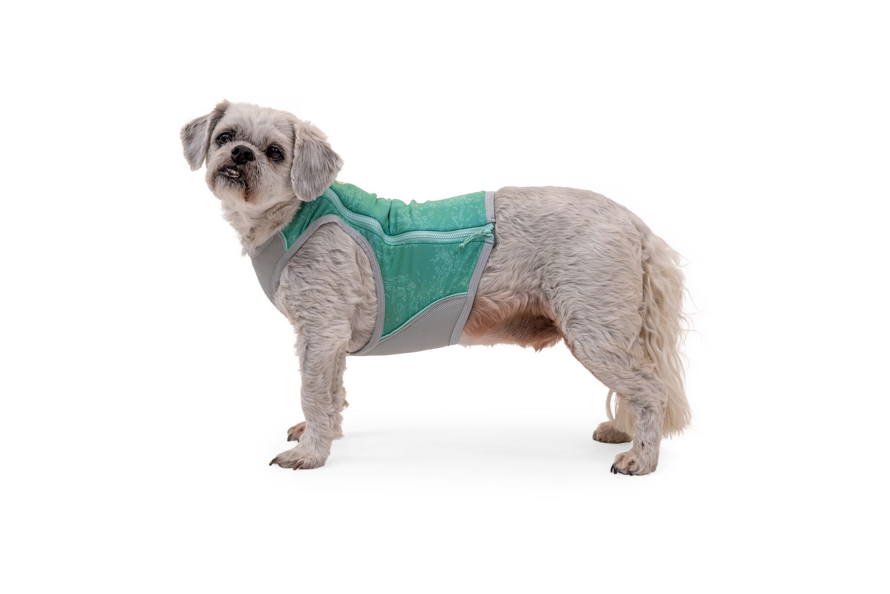Ruffwear Swamp Cooler Zip™ Vest, Aurora Teal
