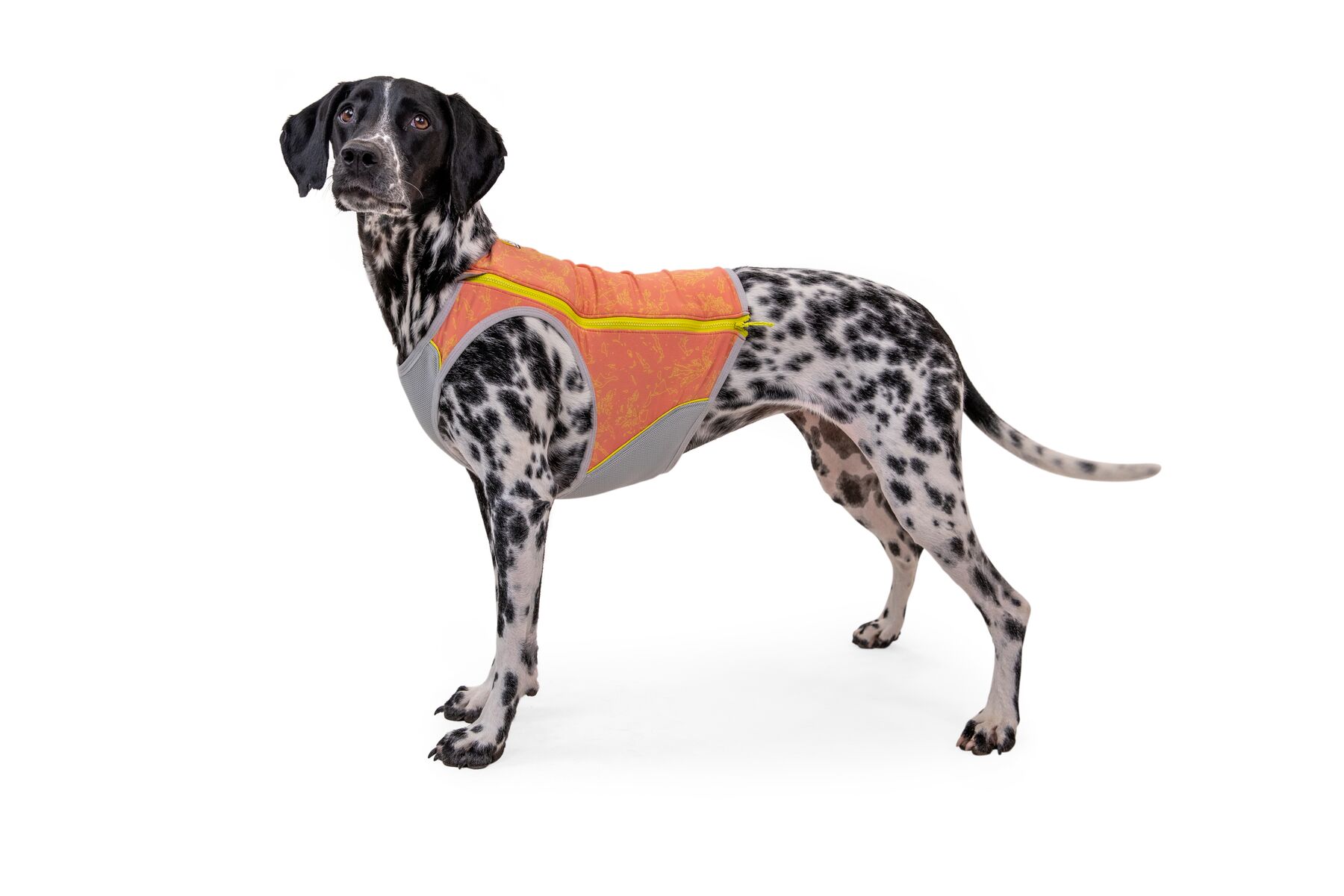 Ruffwear Swamp Cooler Zip™ Vest, Salmon Pink