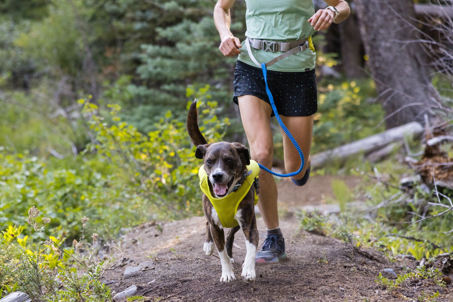 Ruffwear Trail Runner™ Leash, - löparkoppel, Blue Pool