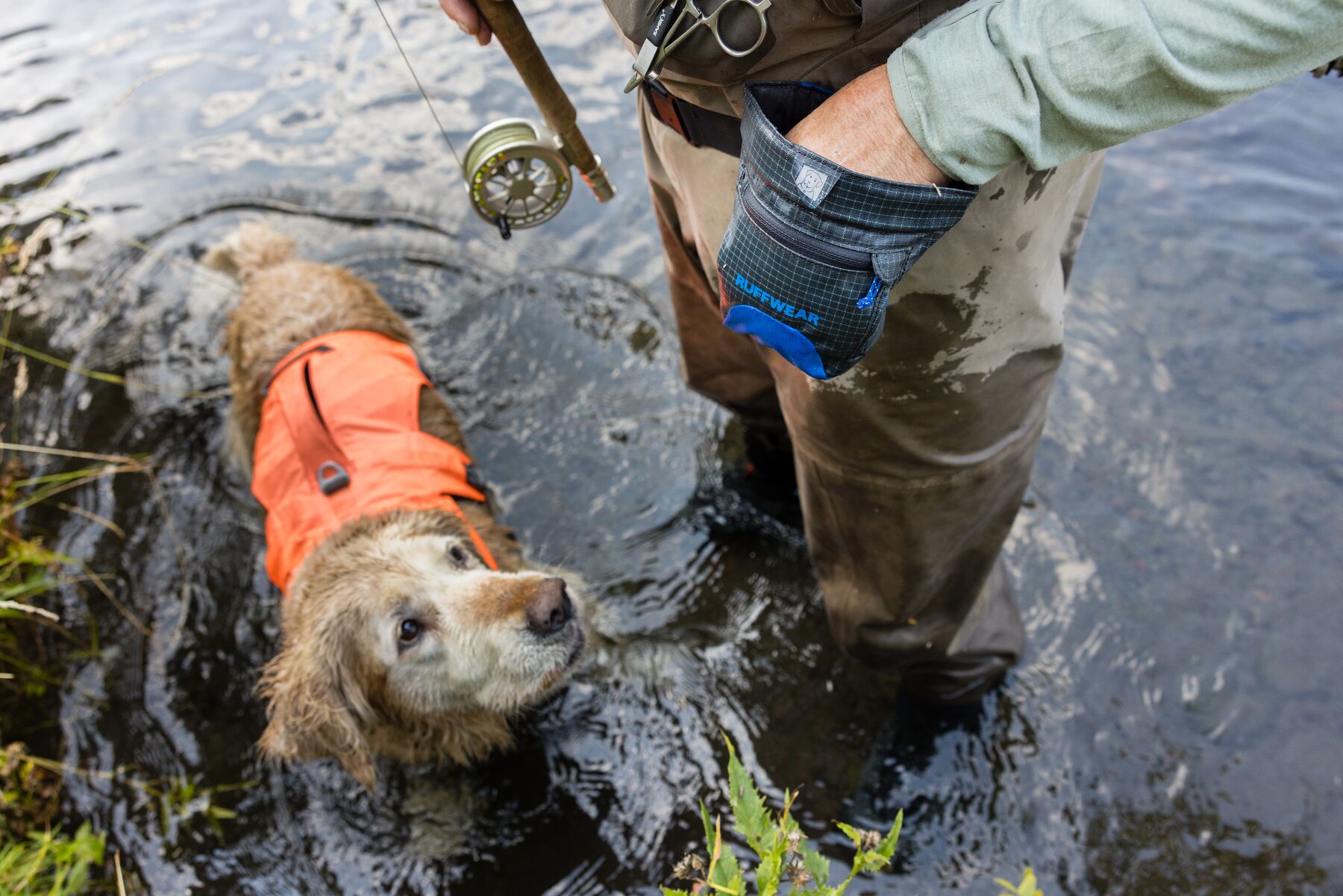 Ruffwear Webmaster Harness - Storsäljande hundsele