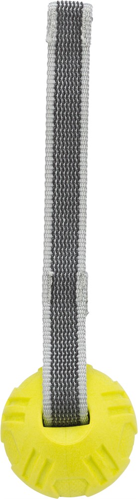 Trixie, sporting boll med band