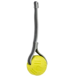 Trixie, sporting boll med band