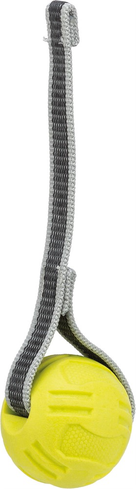 Trixie, sporting boll med band