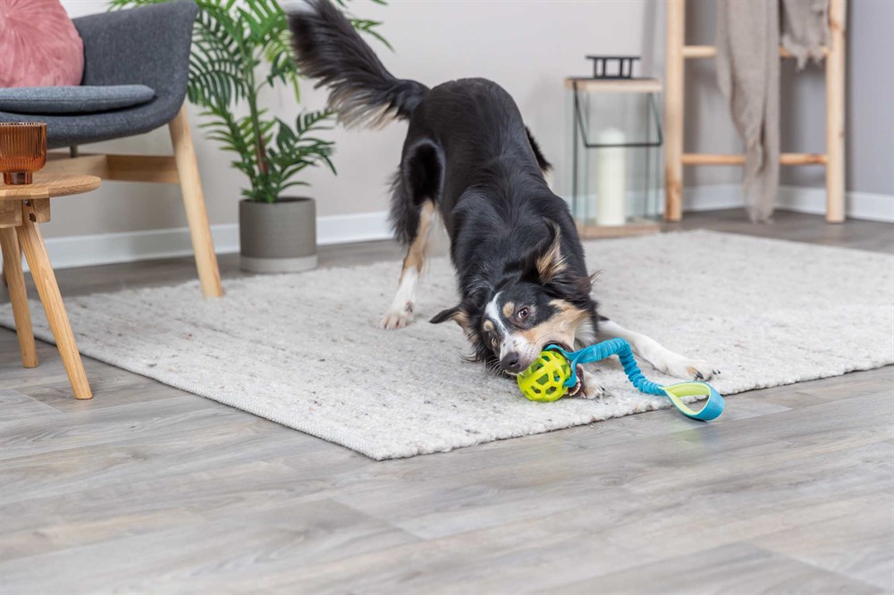 Trixie Bungee Tugger med boll – Dragleksak med stötdämpare, ø 9/48 cm