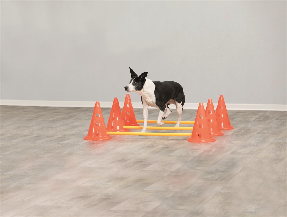 Trixie Dog Activity Hinderset – Agility och träning för hund i alla åldrar, 3 hinder
