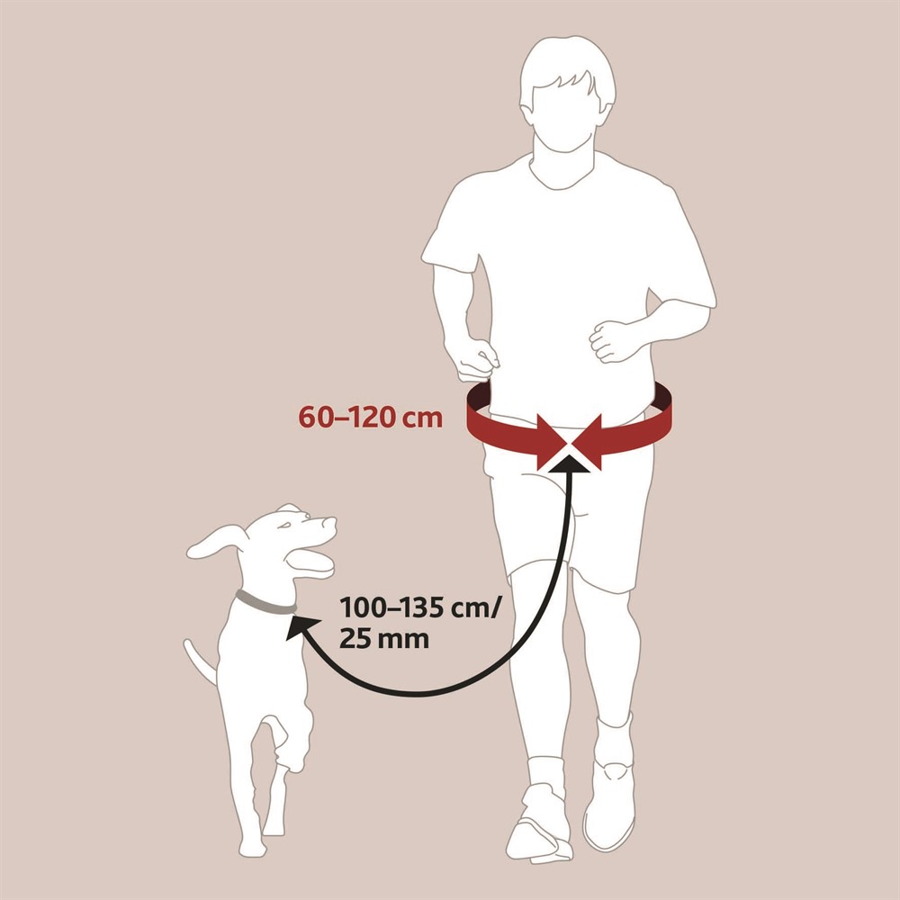 Trixie Handsfreebälte med expander – Löparkoppel för joggning och powerwalk