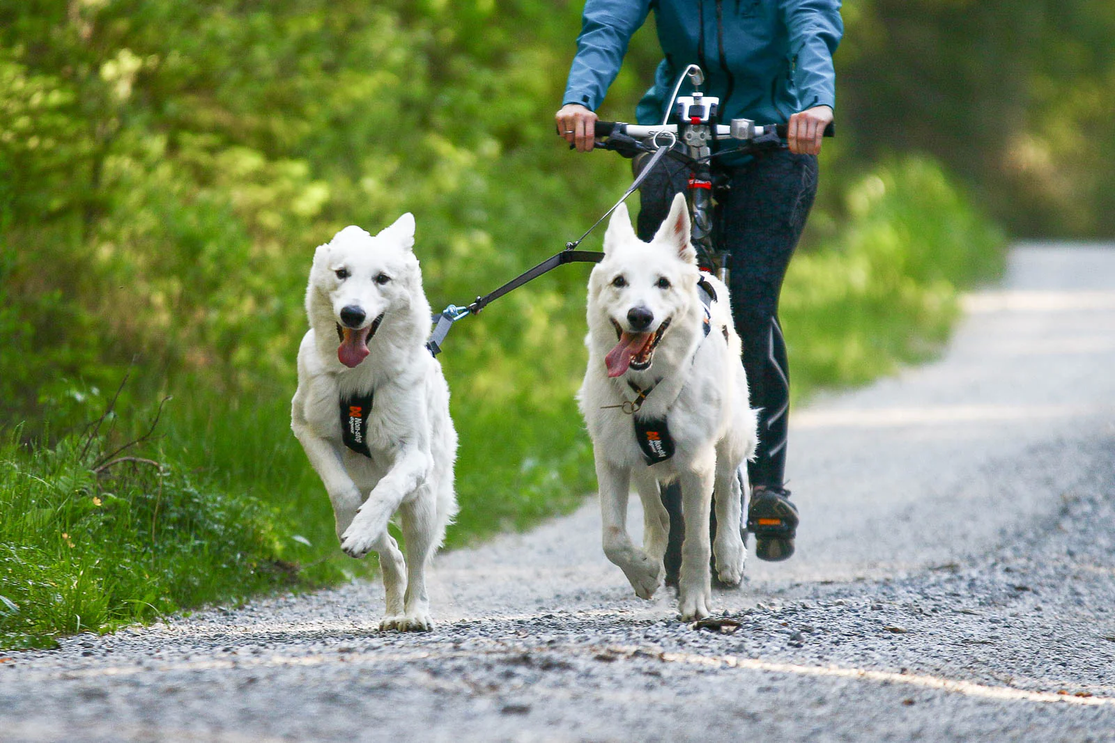 Tvillingkoppel för två hundar – Touring Double