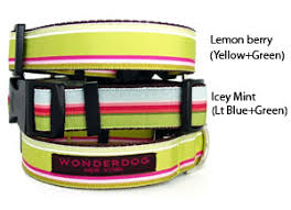 Wonderdog NYC Biscayne halsband