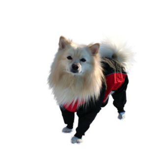 Zipp Regnoverall för hund