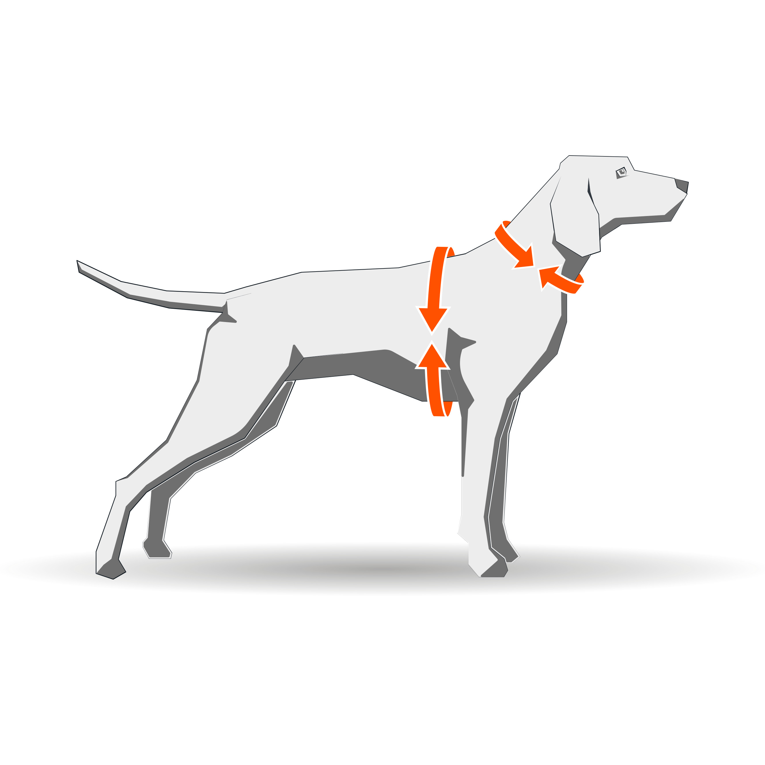 Nonstopdogwear Line harness 5.0 - Bekväm Y-Sele_size-guide