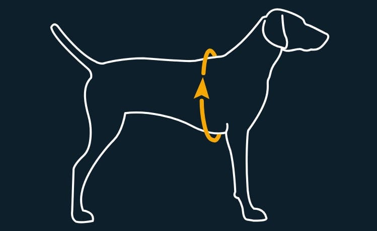 Ruffwear BackTrak™ Dog Evacuation Kit – säker och smidig räddningssele för hund_size-guide